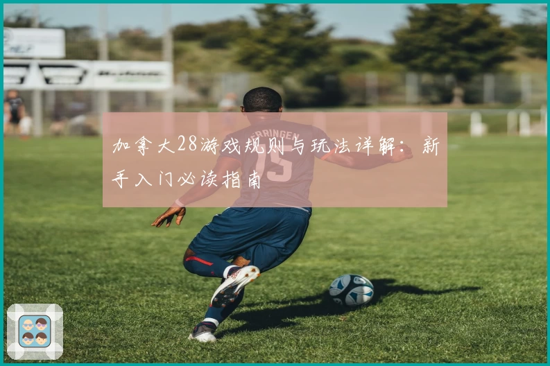 加拿大28游戏规则与玩法详解：新手入门必读指南