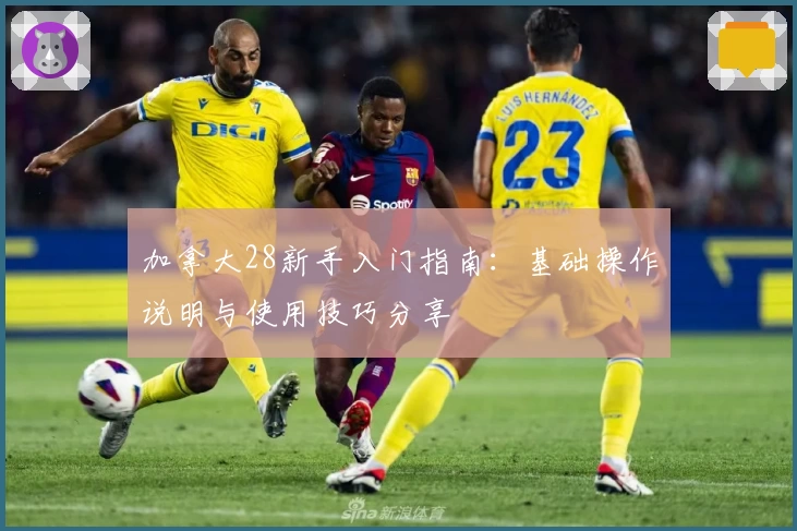 加拿大28新手入门指南：基础操作说明与使用技巧分享