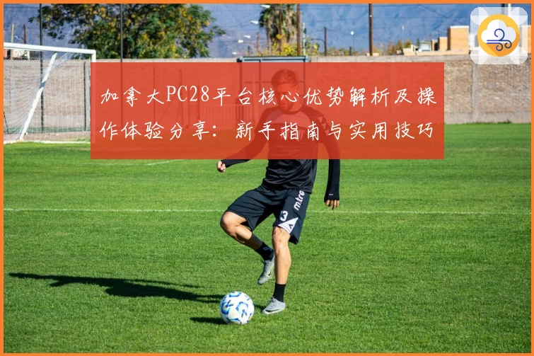 加拿大PC28平台核心优势解析及操作体验分享：新手指南与实用技巧汇总