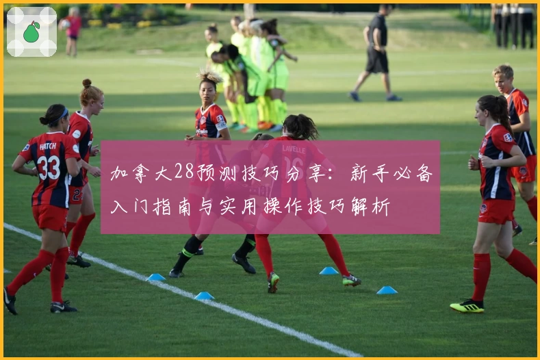 加拿大28预测技巧分享：新手必备入门指南与实用操作技巧解析