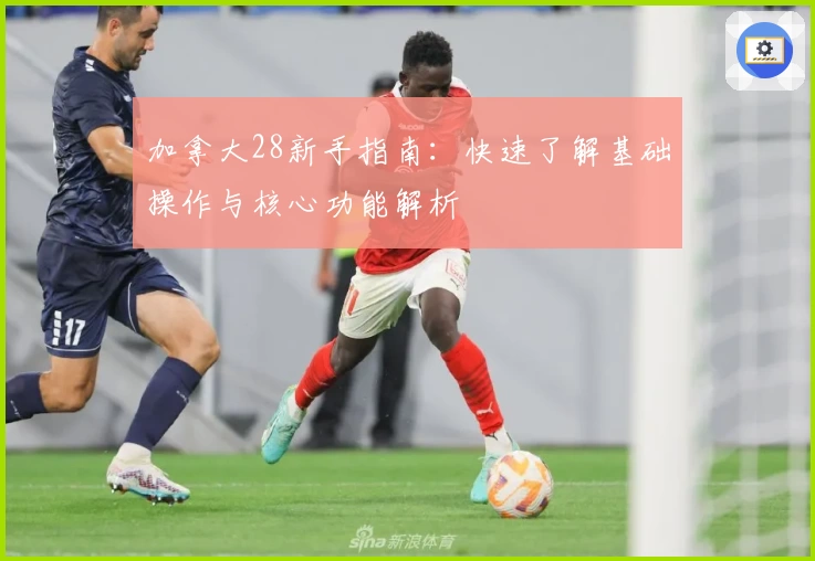 加拿大28新手指南：快速了解基础操作与核心功能解析