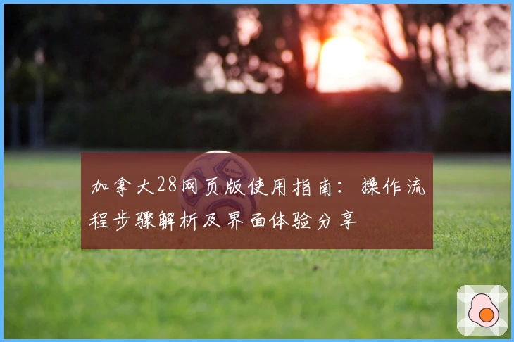 加拿大28网页版使用指南：操作流程步骤解析及界面体验分享