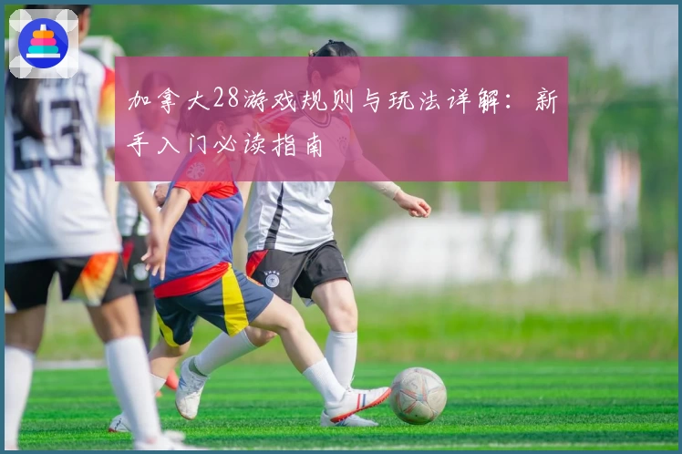 加拿大28游戏规则与玩法详解：新手入门必读指南