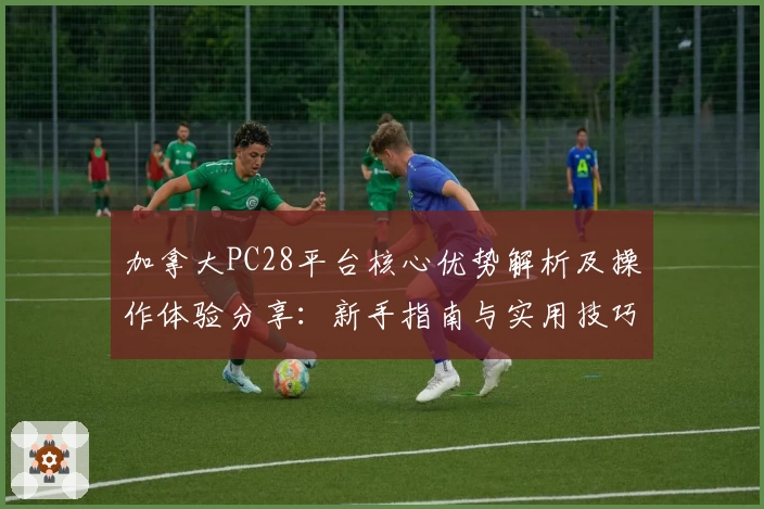 加拿大PC28平台核心优势解析及操作体验分享：新手指南与实用技巧汇总