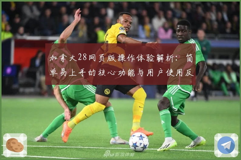 加拿大28网页版操作体验解析：简单易上手的核心功能与用户使用反馈