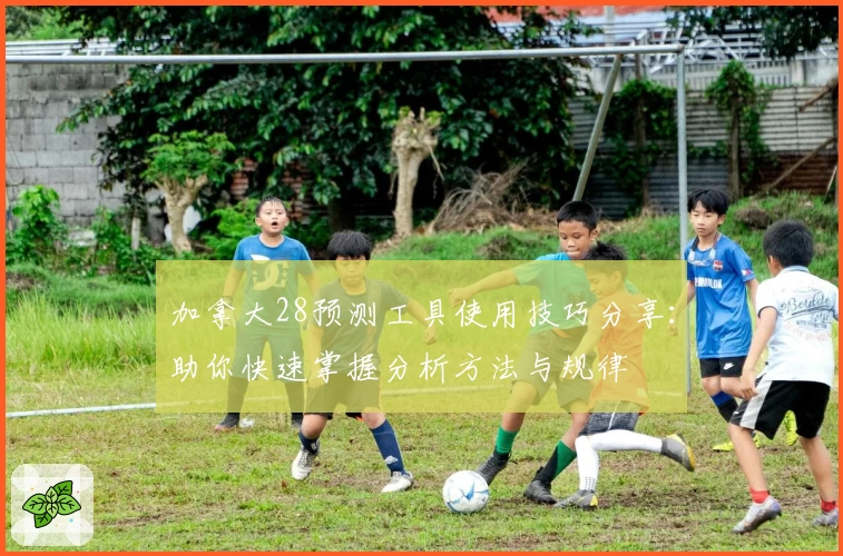 加拿大28预测工具使用技巧分享：助你快速掌握分析方法与规律
