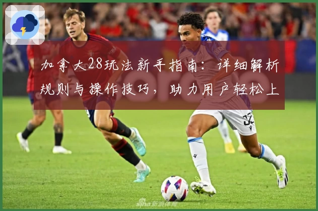 加拿大28玩法新手指南：详细解析规则与操作技巧，助力用户轻松上手