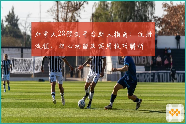 加拿大28预测平台新人指南：注册流程、核心功能及实用技巧解析