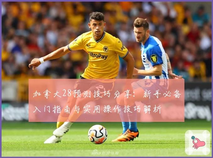 加拿大28预测技巧分享：新手必备入门指南与实用操作技巧解析