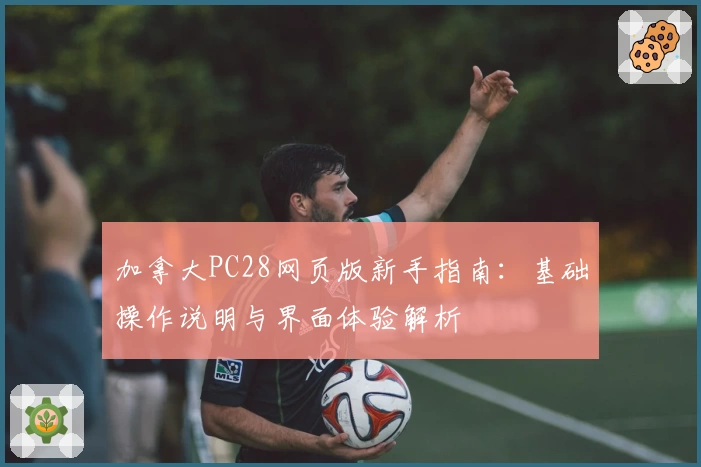 加拿大PC28网页版新手指南：基础操作说明与界面体验解析